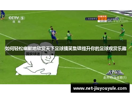 如何轻松幽默地欣赏天下足球搞笑集锦提升你的足球观赏乐趣